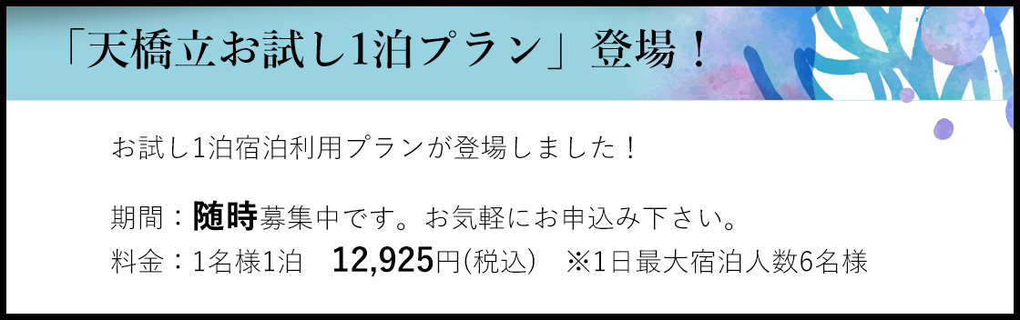お試しプラン